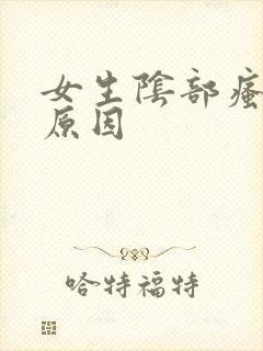 女生阴部瘙痒的原因