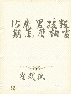 15岁男孩叛逆期怎么相处封面