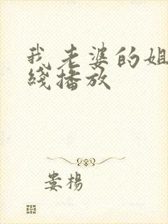 我老婆的姐姐在线播放封面