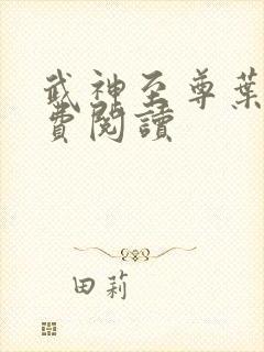 武神至尊叶风免费阅读