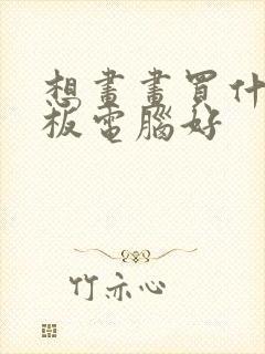 想画画买什么平板电脑好