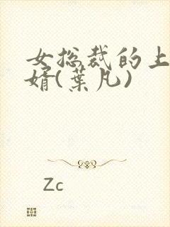 女总裁的上门女婿(叶凡)