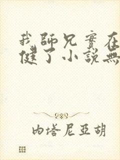 我师兄实在太稳健了小说无弹窗