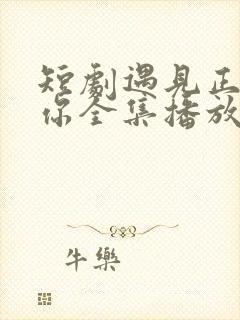 短剧遇见正确的你全集播放