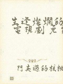 生逢灿烂的日子 电视剧 免费观看封面