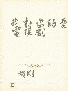 我对你的爱很美电视剧