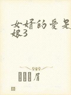 女婿的爱是丈母娘3