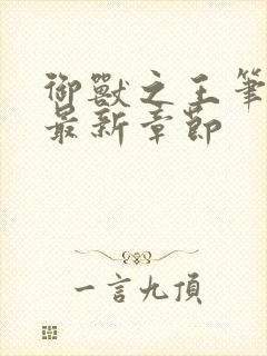 御兽之王笔趣阁最新章节封面