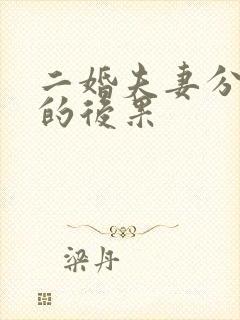 二婚夫妻分床睡的后果封面