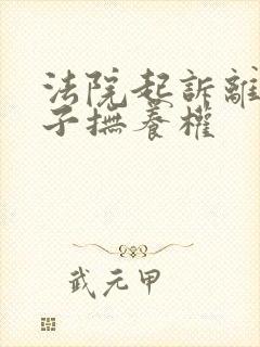 法院起诉离婚孩子抚养权