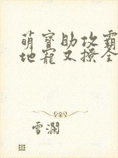 萌宝助攻霸道爹地宠又撩全文阅读封面