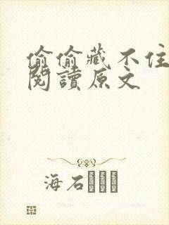 偷偷藏不住免费阅读原文