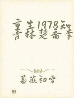 重生1978知青林楚乔李向南结局