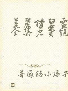 美丽错儿电视剧全集免费观看封面