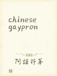 chinesegaypron