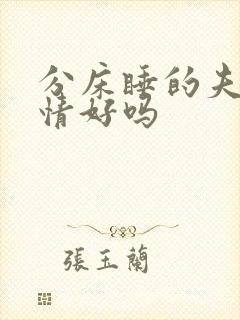 分床睡的夫妻感情好吗封面