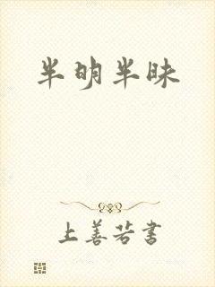 半明半昧