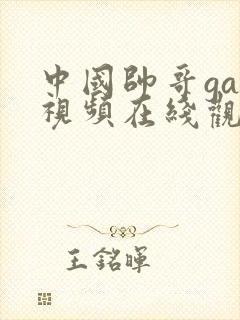 中国帅哥gay视频在线观看