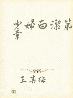 少妇白洁第30章