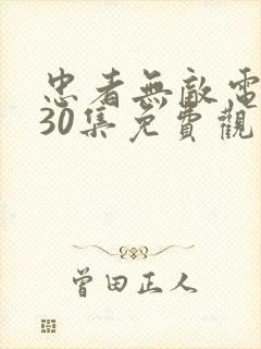 忠者无敌电视剧30集免费观看高清