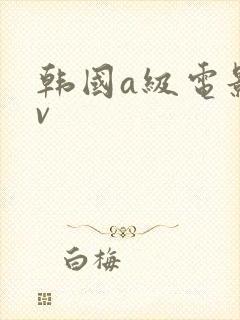 韩国a级电影av
