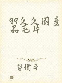 99久久国产精品毛片封面