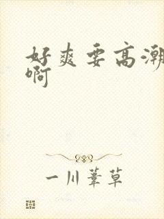 好爽要高潮了啊啊