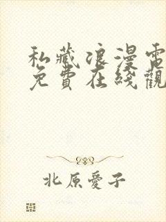 私藏浪漫电视剧免费在线观看封面