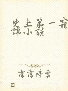 史上第一宠婚姒锦小说