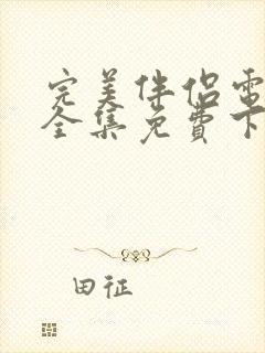 完美伴侣电视剧全集免费下载观看