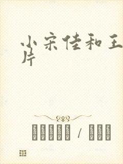 小宋佳和王伟照片