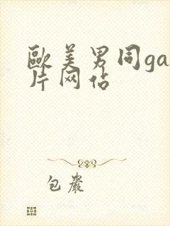 欧美男同gay片网站