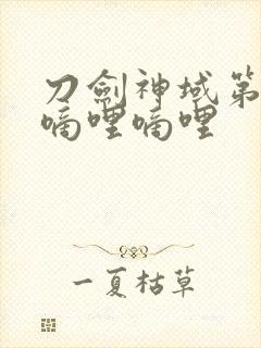 刀剑神域第二季嘀哩嘀哩