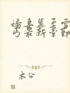 娇妻慕柔雪老乞丐最新章节更新小说封面