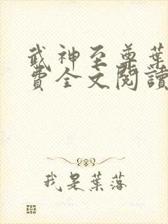 武神至尊叶风免费全文阅读无弹窗