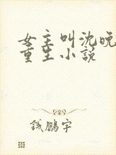 女主叫沈晚晚的重生小说