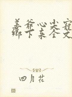 姜爷心尖宠她从乡下来全文免费阅读