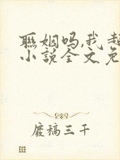 联姻吗,我超甜小说全文免费阅读