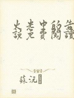 火光中的告白小说免费阅读封面