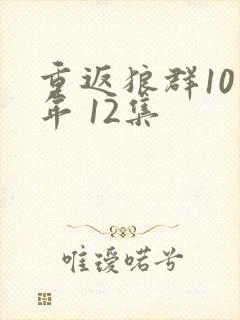 重返狼群10周年 12集