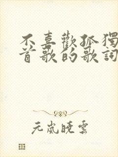 不喜欢孤独是哪首歌的歌词