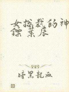 女总裁的神秘保镖 叶辰