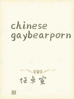 chinesegaybearporn