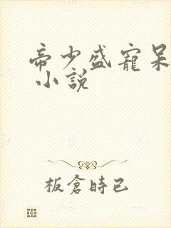 帝少盛宠呆萌妻 小说