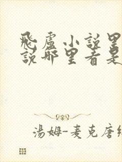 飞卢小说里的小说哪里看是免费的