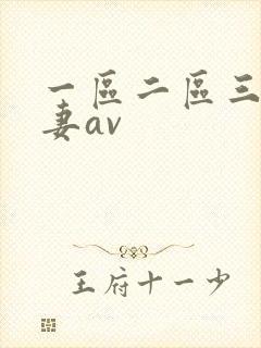 一区二区三区人妻av