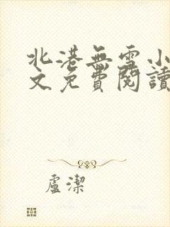 北港无雪小说全文免费阅读