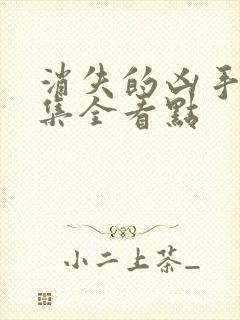 消失的凶手16集全看点