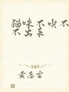 猫咪不吃不喝尿不出来封面