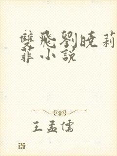 双飞刘晓莉刘亦菲小说